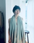 Light Green Paisley Design Pashmina Shawl
